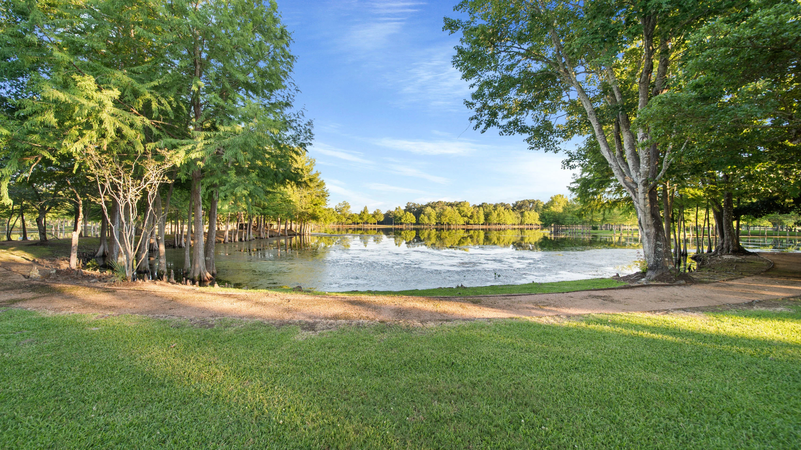 37307 Diamond Oaks Drive | Magnolia, Near Houston, TX | Luxury Real Estate | Concierge Auctions