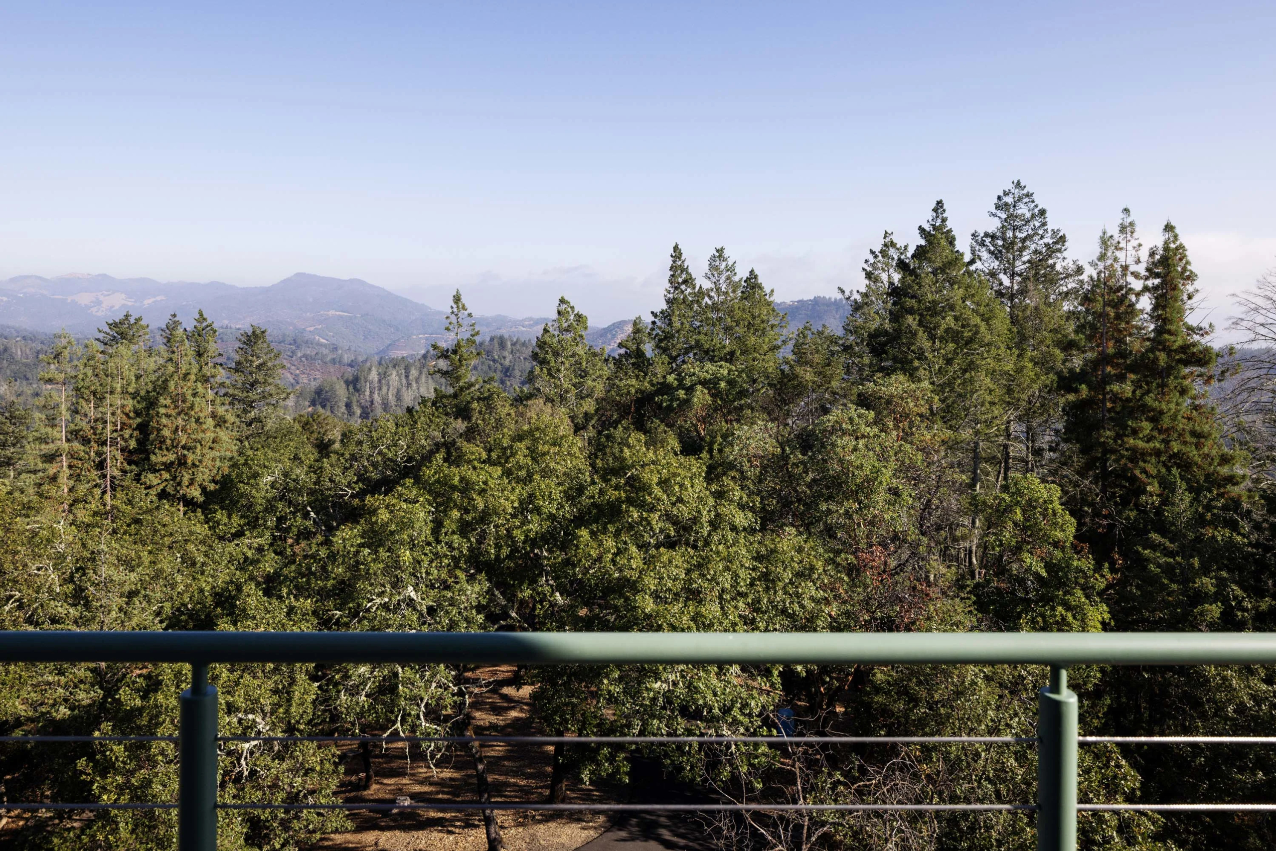3000 Mount Veeder Road, Mount Veeder, Napa Valley, California | Luxury Real Estate | Concierge Auctions