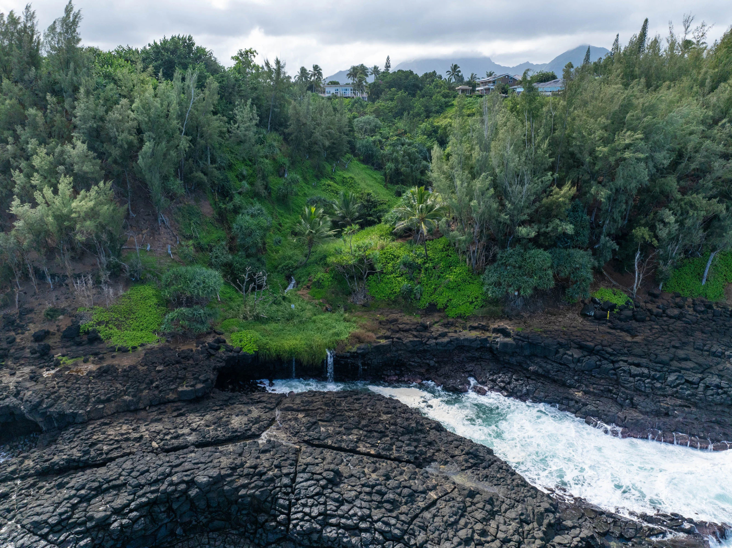3 Kaui Road | Princeville, HI | Luxury Real Estate | Concierge Auctions