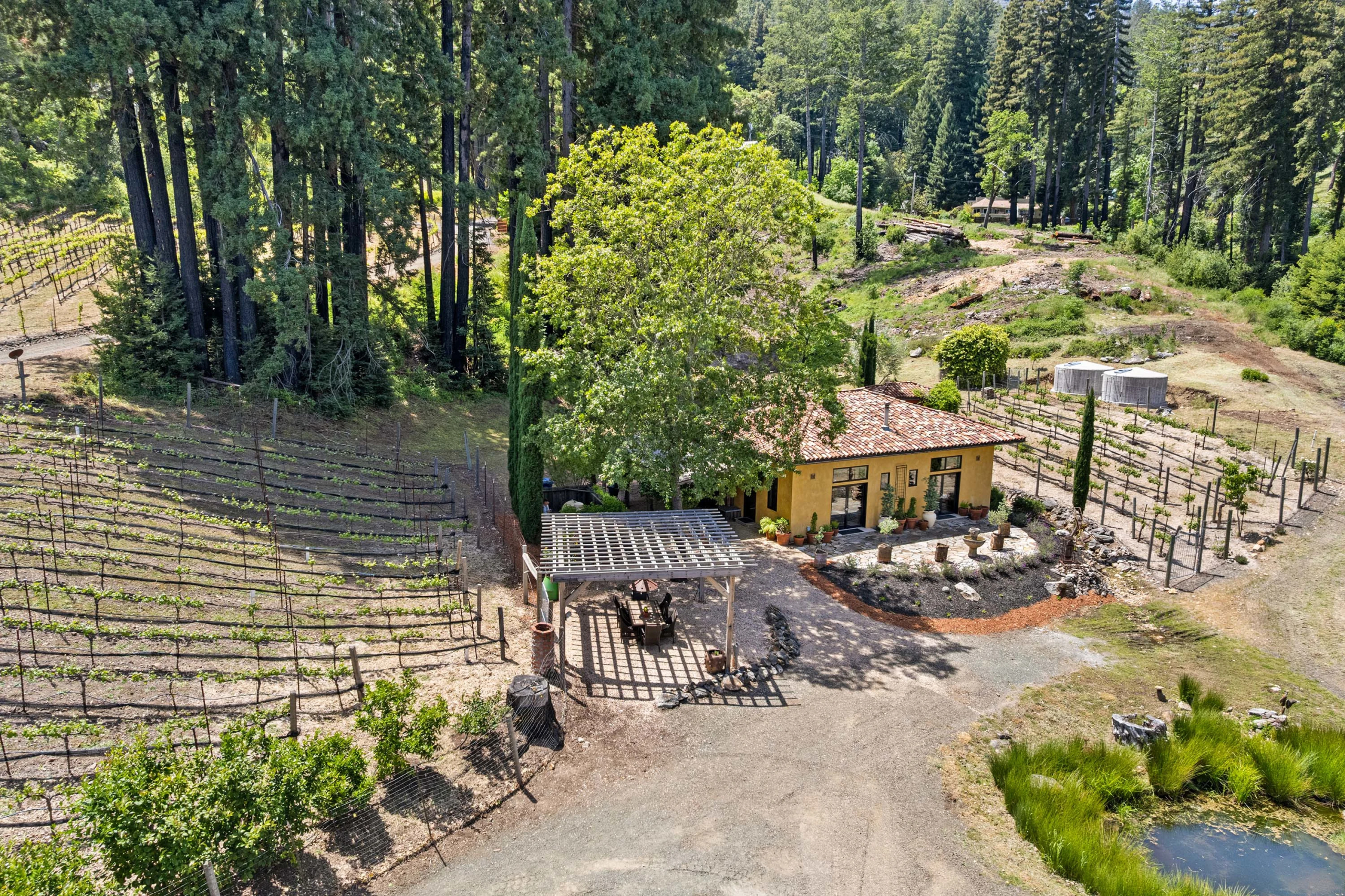 3390 Mount Veeder Road | Luxury Real Estate | Concierge Auctions