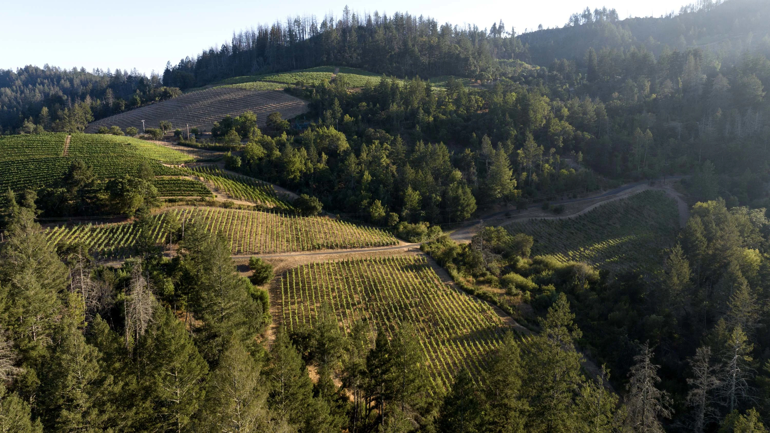 3000 Mount Veeder Road, Mount Veeder, Napa Valley, California | Luxury Real Estate | Concierge Auctions