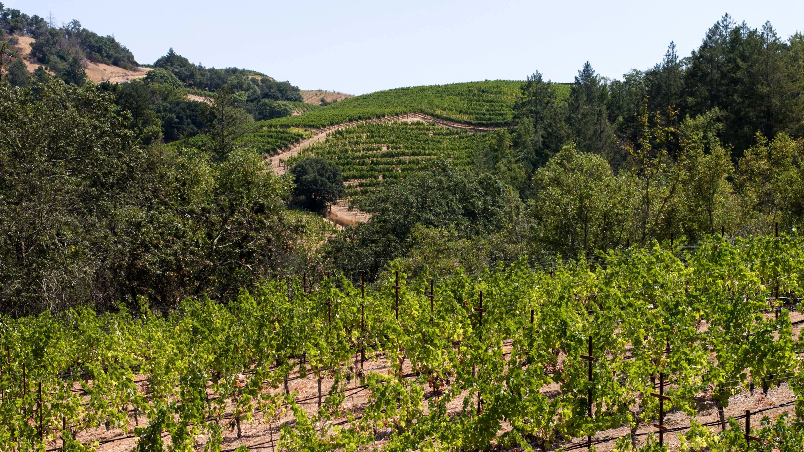 3000 Mount Veeder Road, Mount Veeder, Napa Valley, California | Luxury Real Estate | Concierge Auctions
