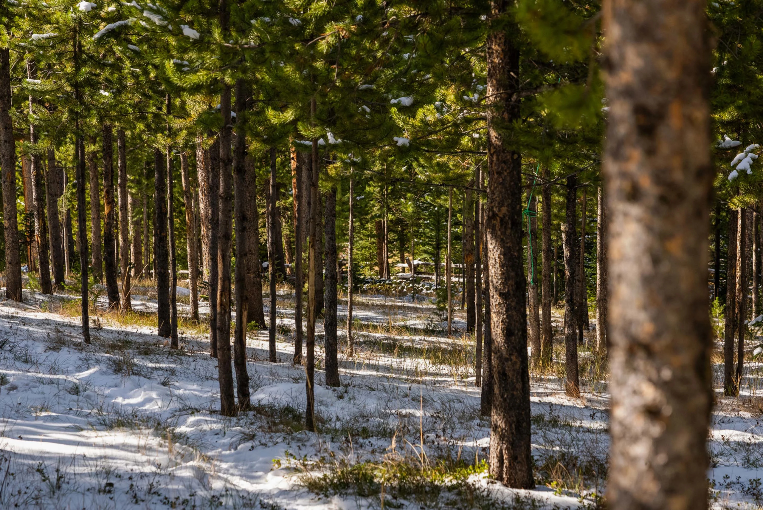 5255 Lone Mountain Trail, Big Sky, Montana | Luxury Real Estate | Concierge Auctions