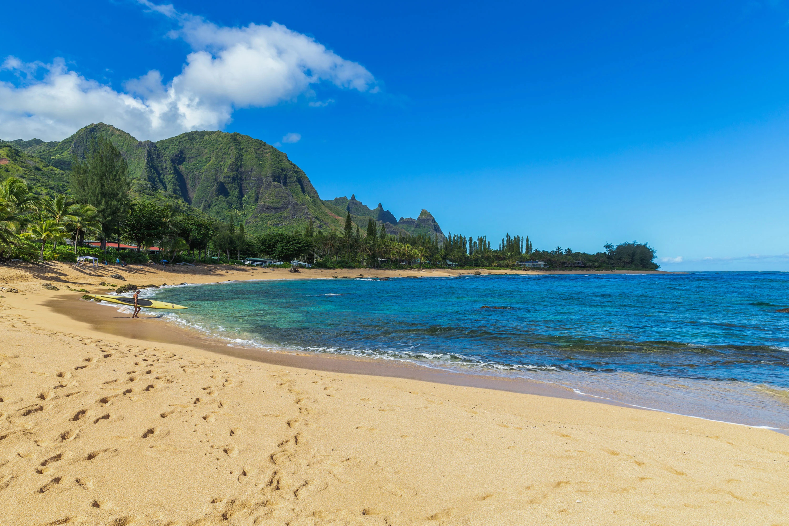 5-7094 Kuhio Highway | Hanalei, Kauai, Hawaii | Luxury Real Estate | Concierge Auctions