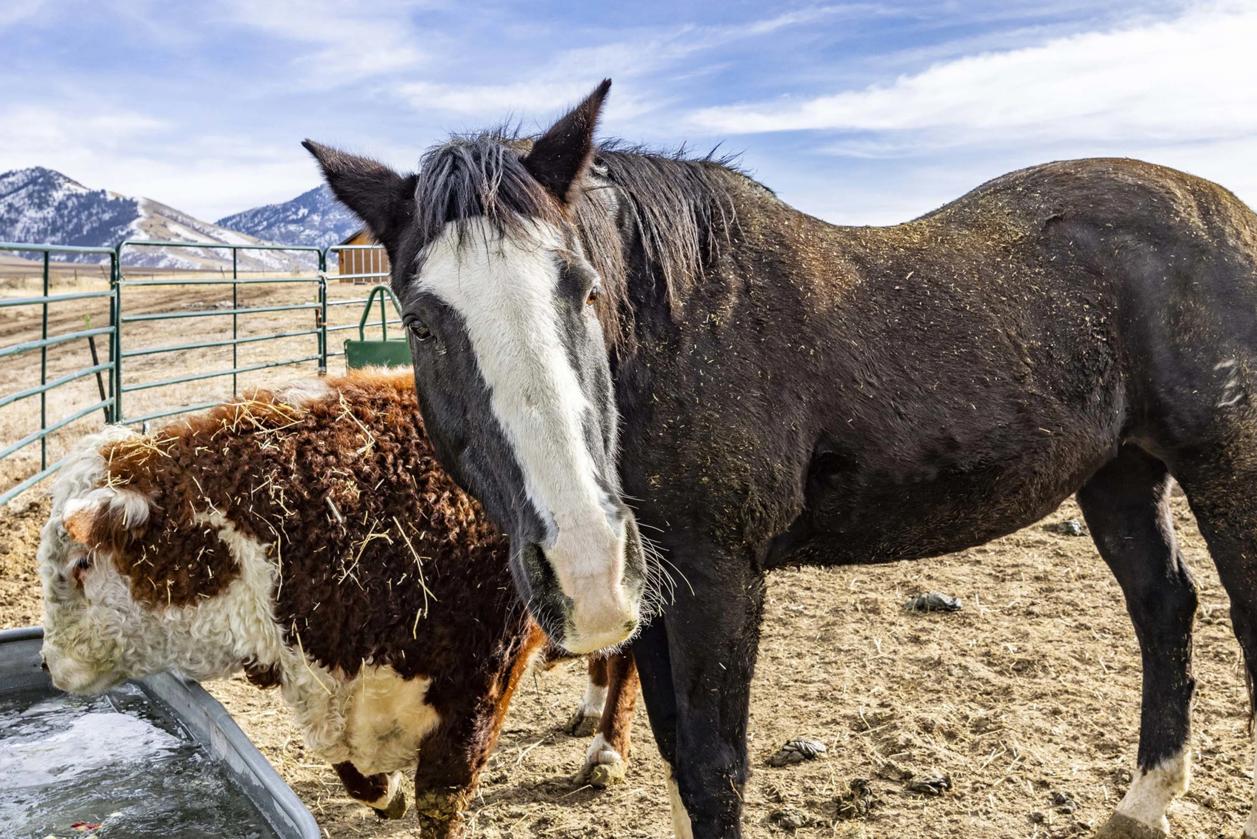 Lazy R Ranch | 200 East 7000 South, Hyrum, Cache Valley, Northern Utah | Luxury Real Estate | Concierge Auctions