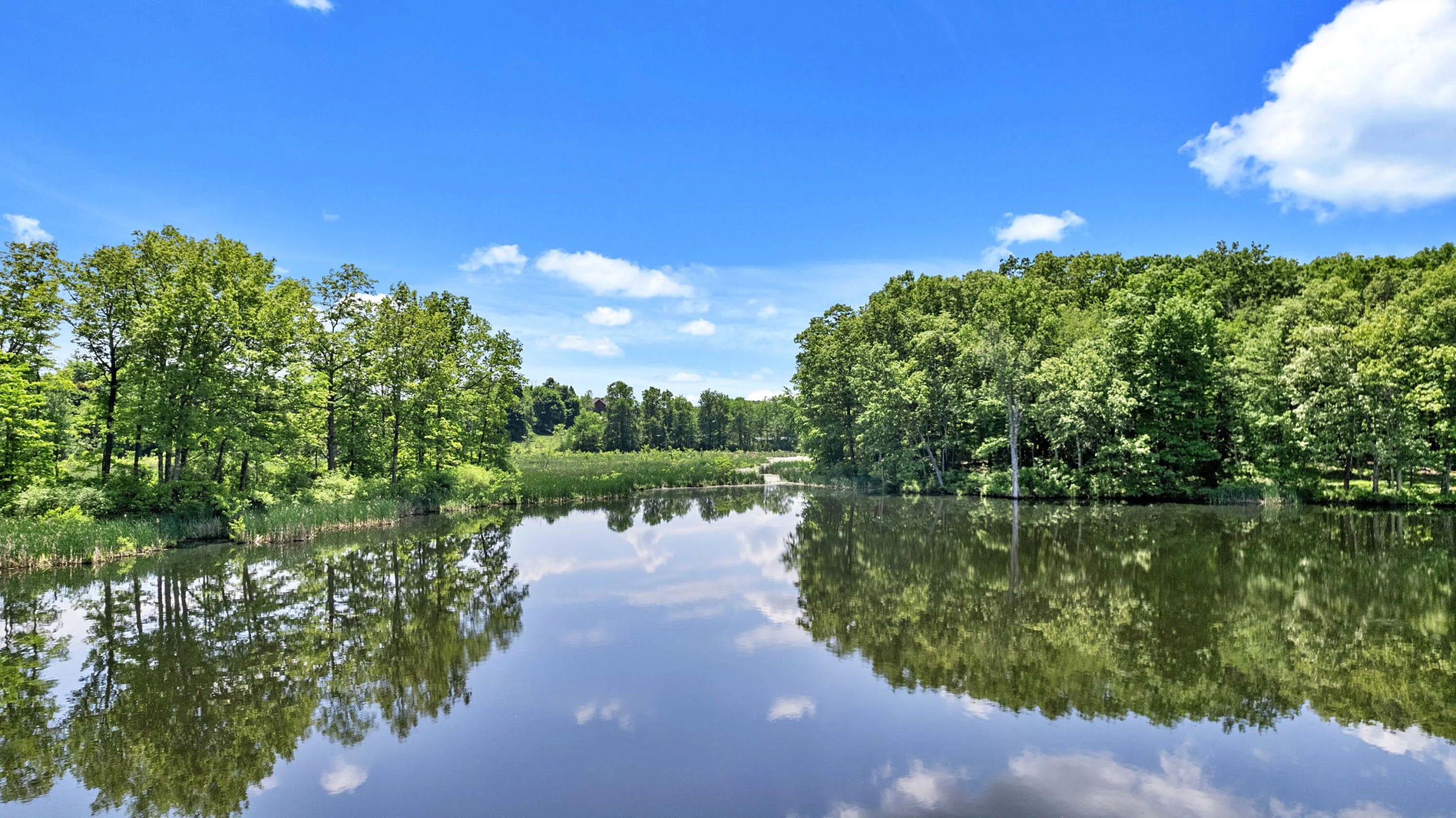 1175 County Route 27A, Copake Lake, Hudson Valley, New York | Luxury Real Estate | Concierge Auctions