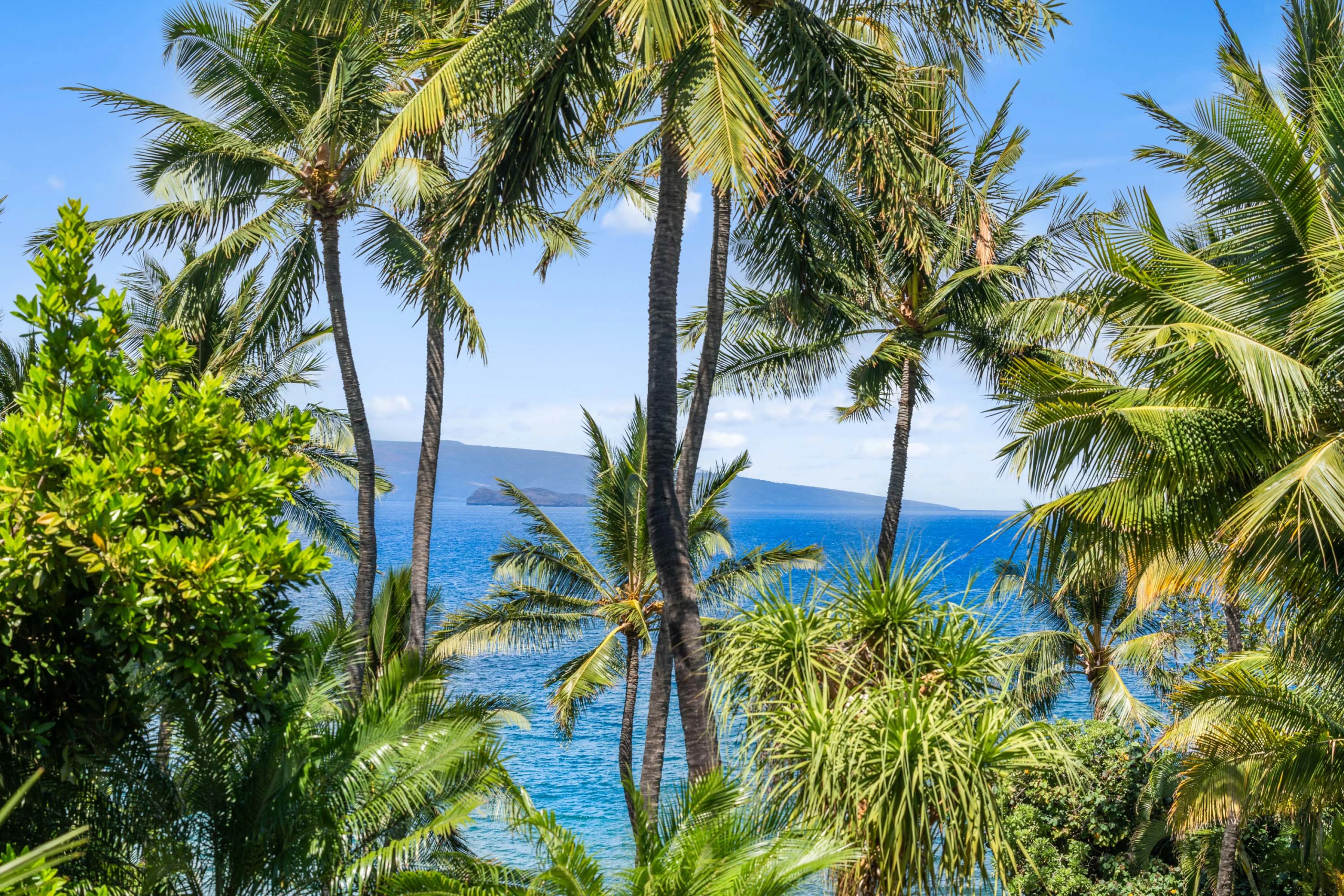 4610 Makena Road, Wailea-Makena, Maui, Hawaii | Luxury Real Estate | Concierge Auctions