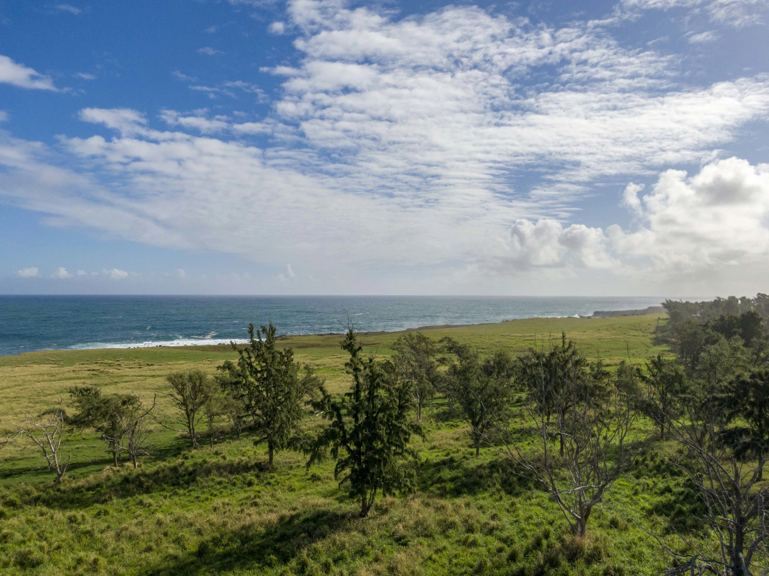55-3287 Hoea Makai Road | Hawi, Hawaii | Luxury Real Estate