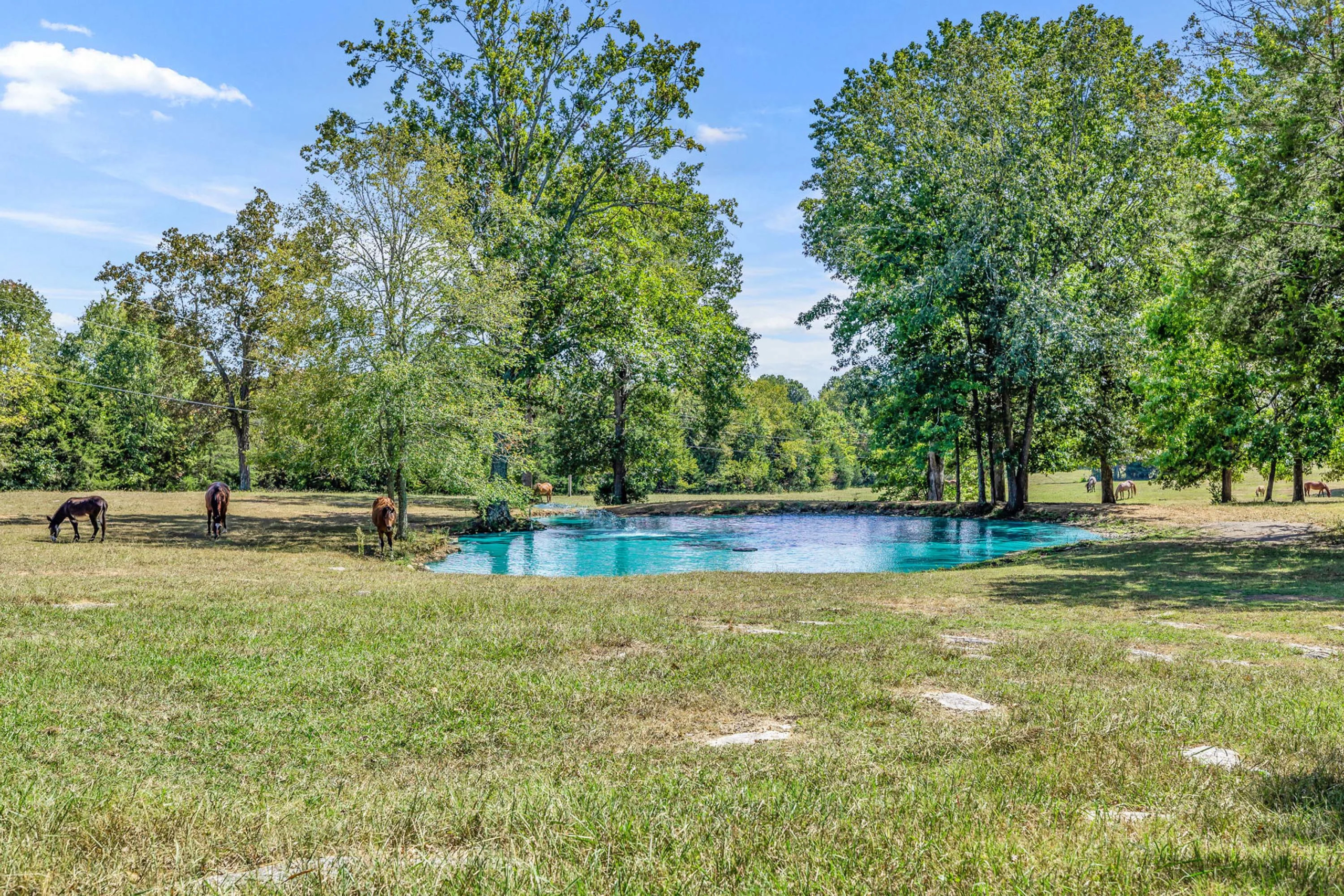 Twin Oaks Ranch | 11991 Stewarts Ferry Pike, Lebanon, Nashville Area,  Tennessee | Luxury Real Estate | Concierge Auctions