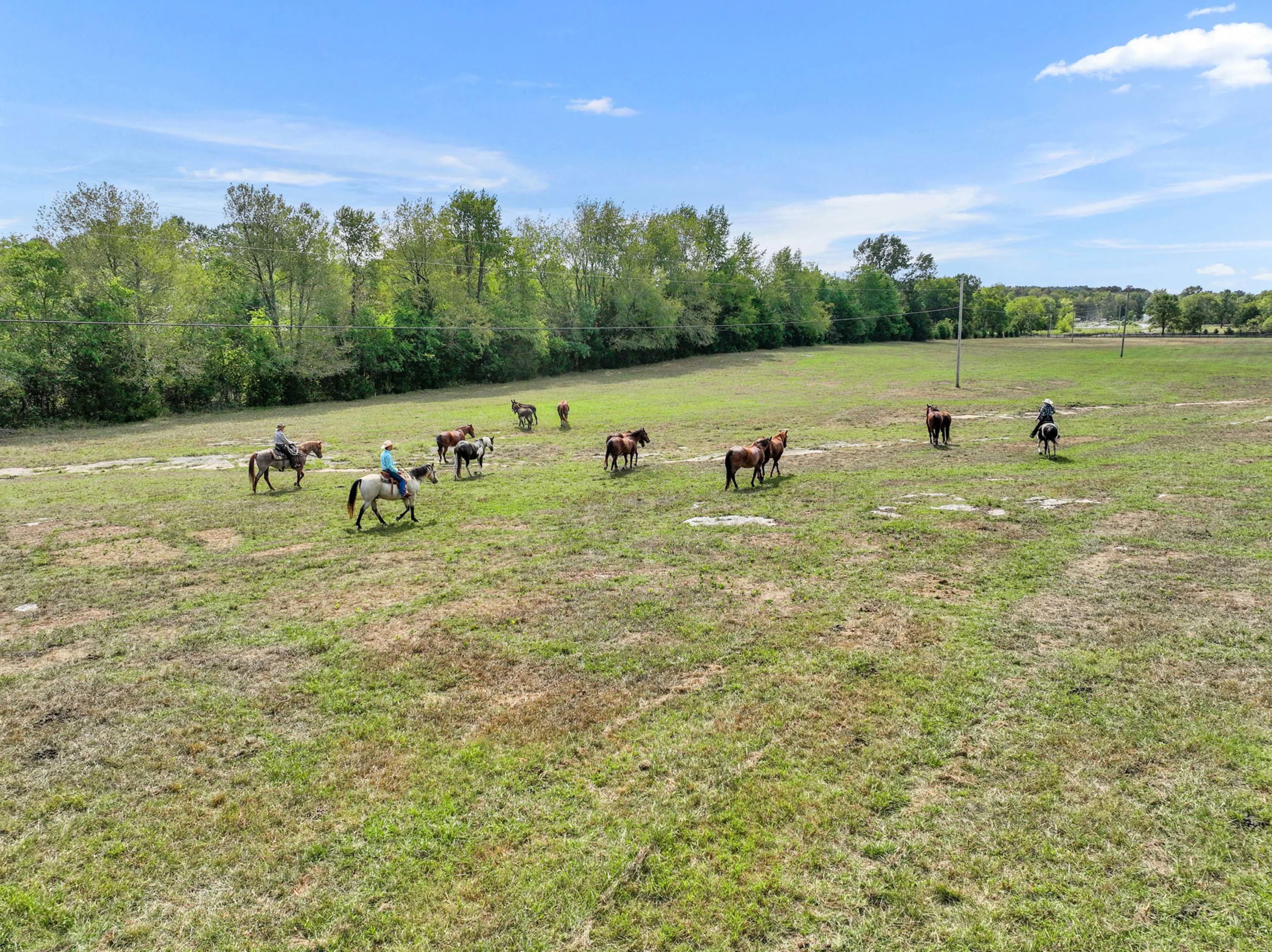 Twin Oaks Ranch | 11991 Stewarts Ferry Pike, Lebanon, Nashville Area,  Tennessee | Luxury Real Estate | Concierge Auctions
