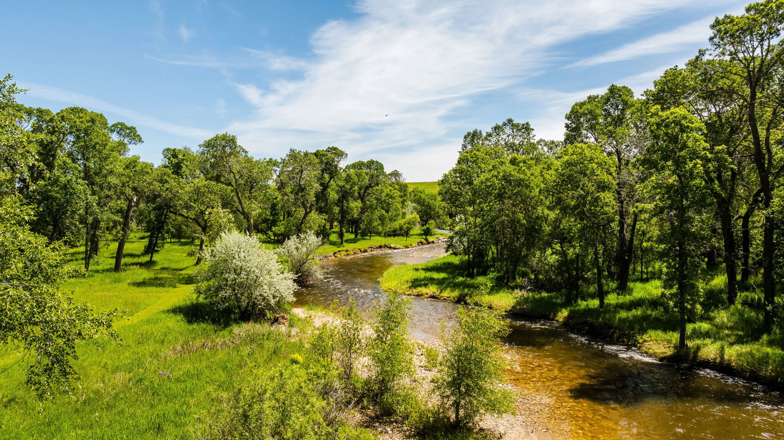 696, 690 and 684 Big Goose Road | Sheridan, WY | Luxury Real Estate | Concierge Auctions