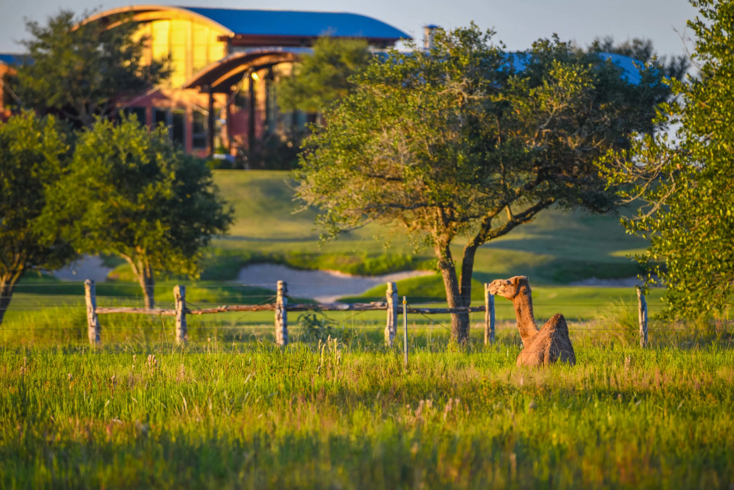 Wolf Point Club | Texas Gulf Coast | Luxury Real Estate