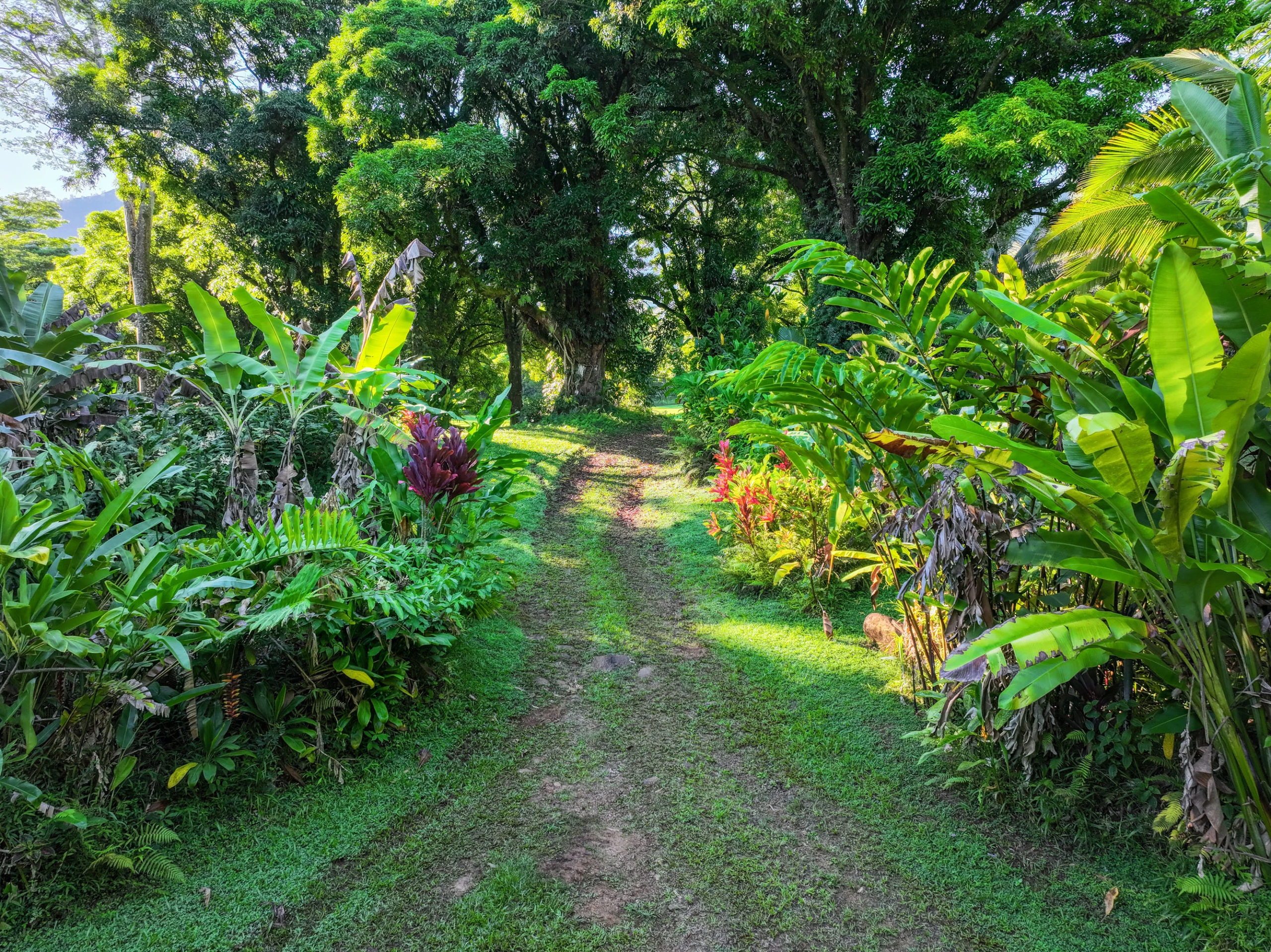 Hanalei Hideaway | Kuhio Highway, Hanalei, HI | Luxury Real Estate | Concierge Auctions