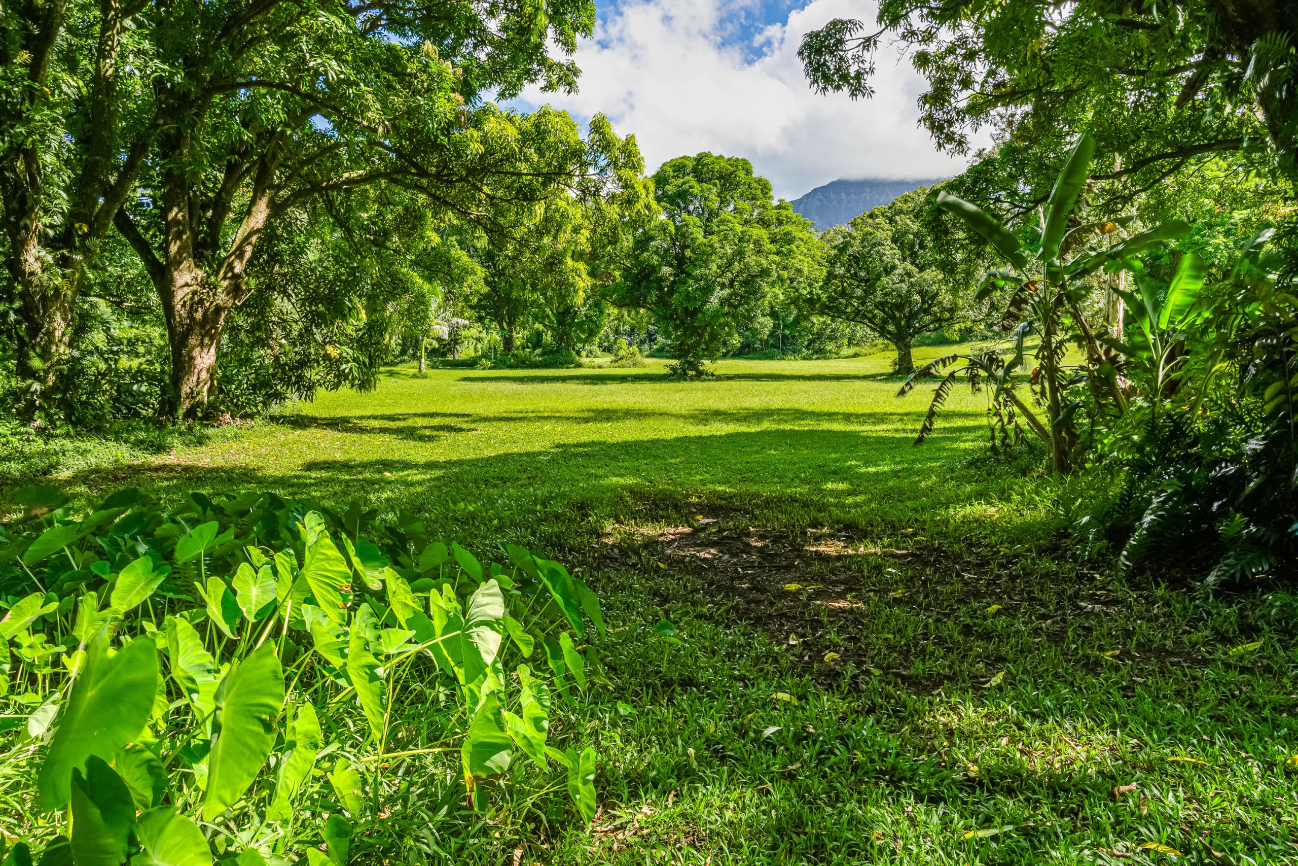 Hanalei Hideaway | Kuhio Highway, Hanalei, HI | Luxury Real Estate | Concierge Auctions