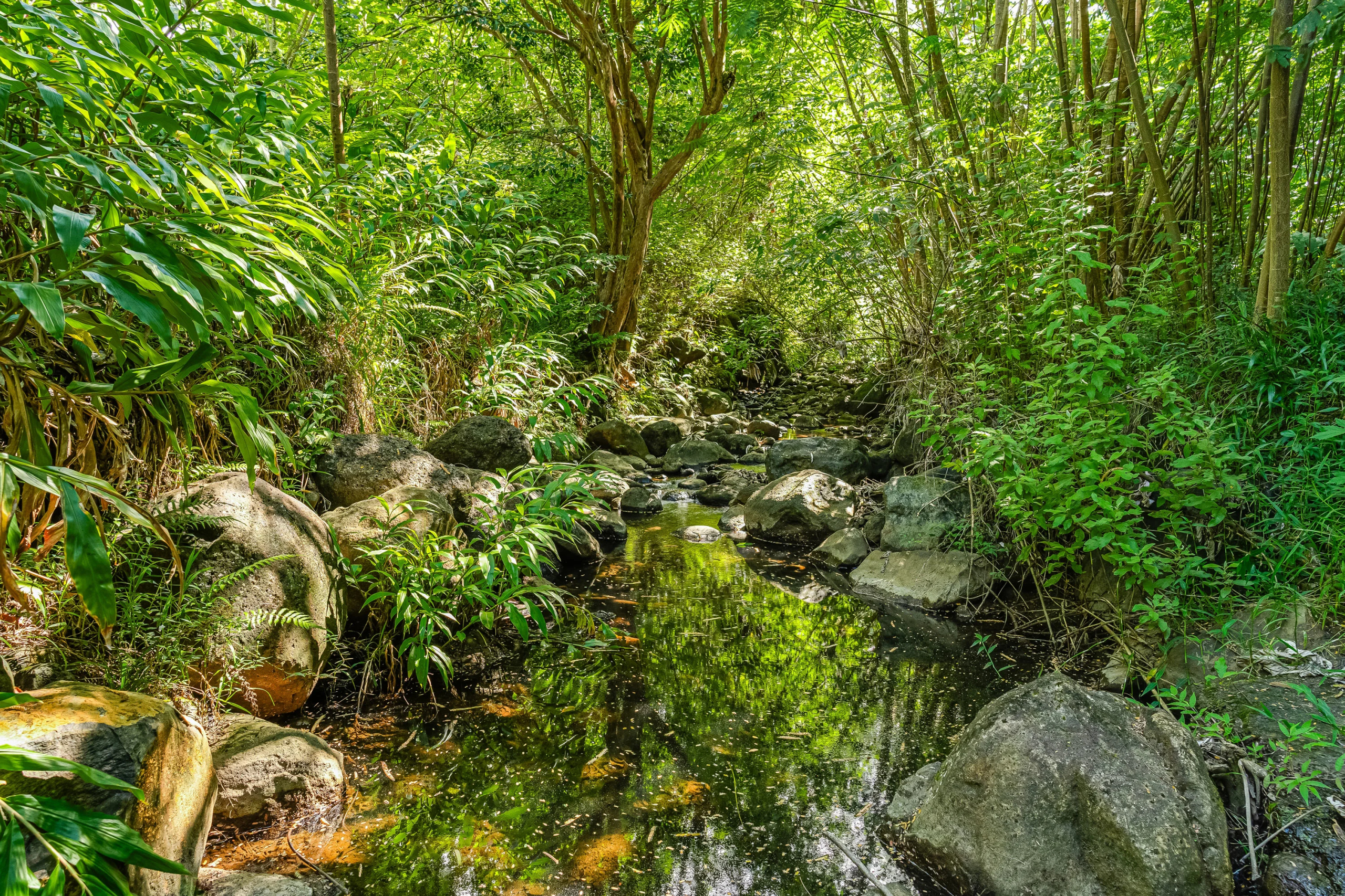 Hanalei Hideaway | Kuhio Highway, Hanalei, HI | Luxury Real Estate | Concierge Auctions