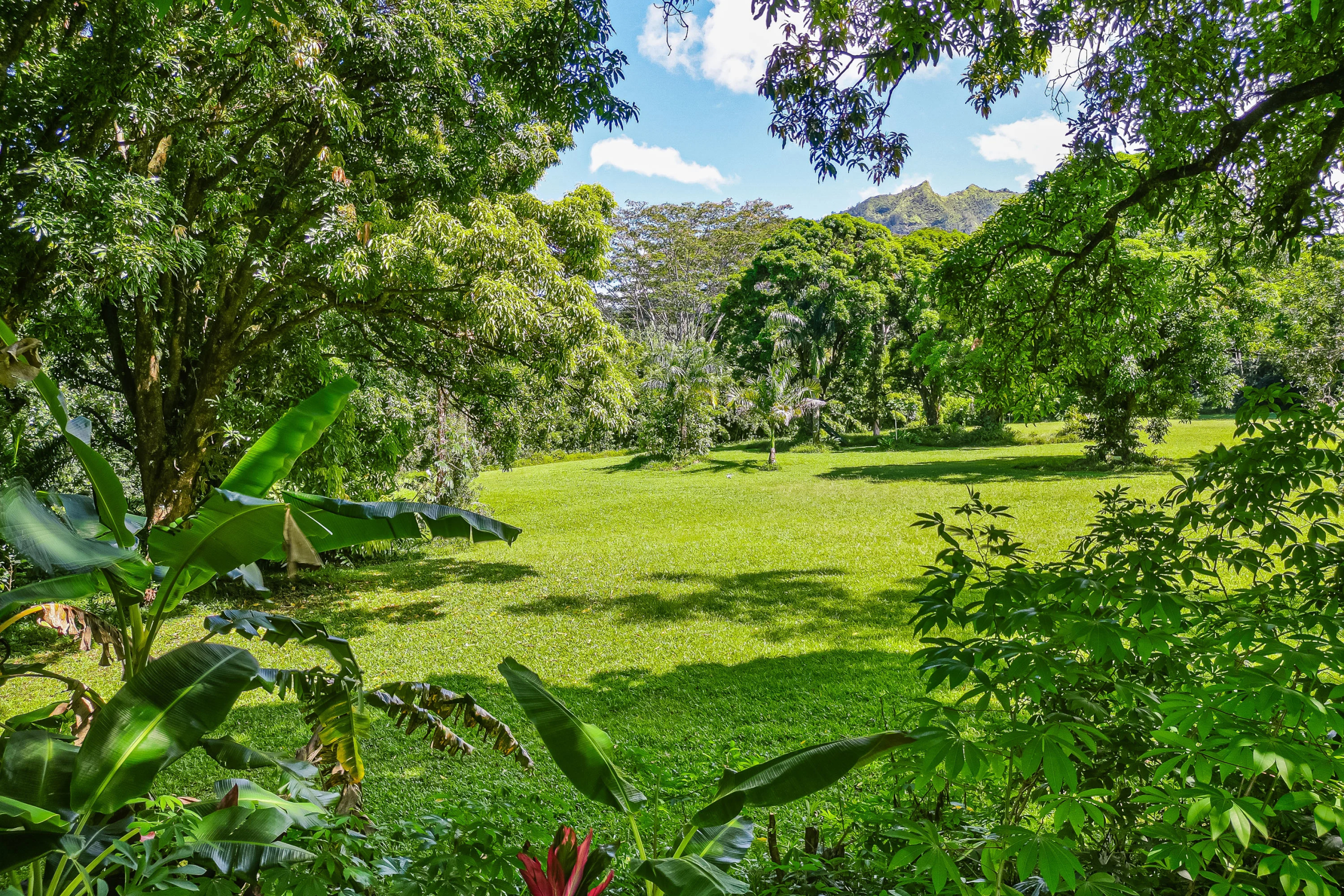 Hanalei Hideaway | Kuhio Highway, Hanalei, HI | Luxury Real Estate | Concierge Auctions
