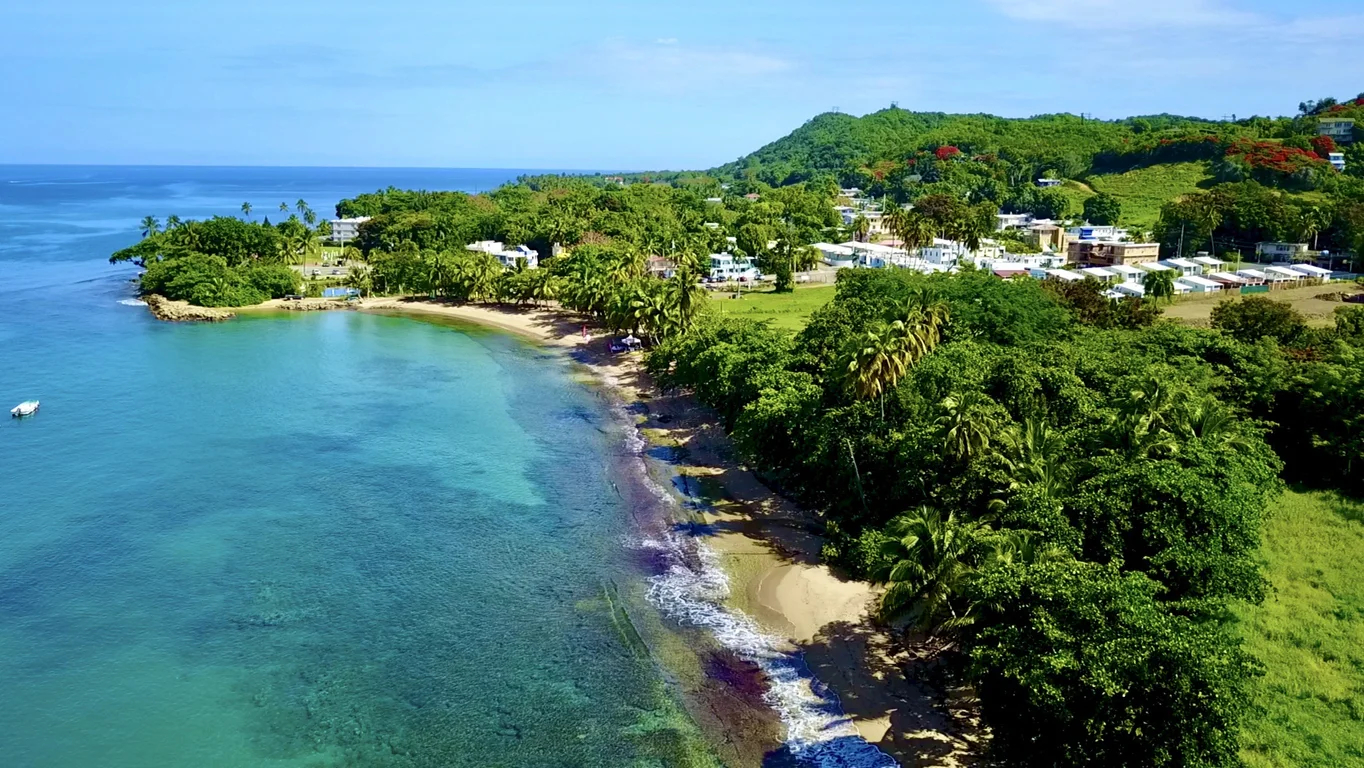 Puerto del Pulpo Estate | Road 413 km 0.6, Barrio Ensenada, Rincon, Puerto Rico | Luxury Real Estate | Concierge Auctions