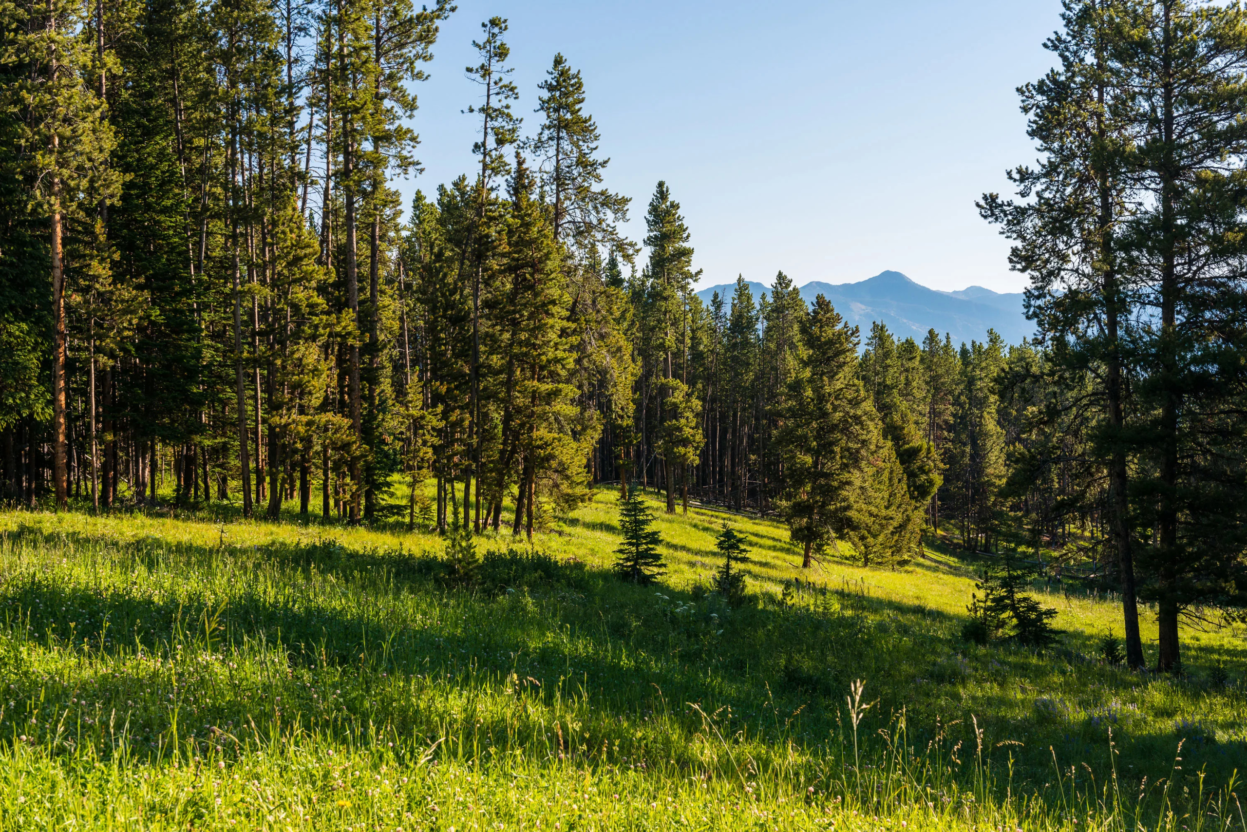 Travertine Ranch | Yellowstone Preserve | Big Sky, MT | Luxury Real Estate