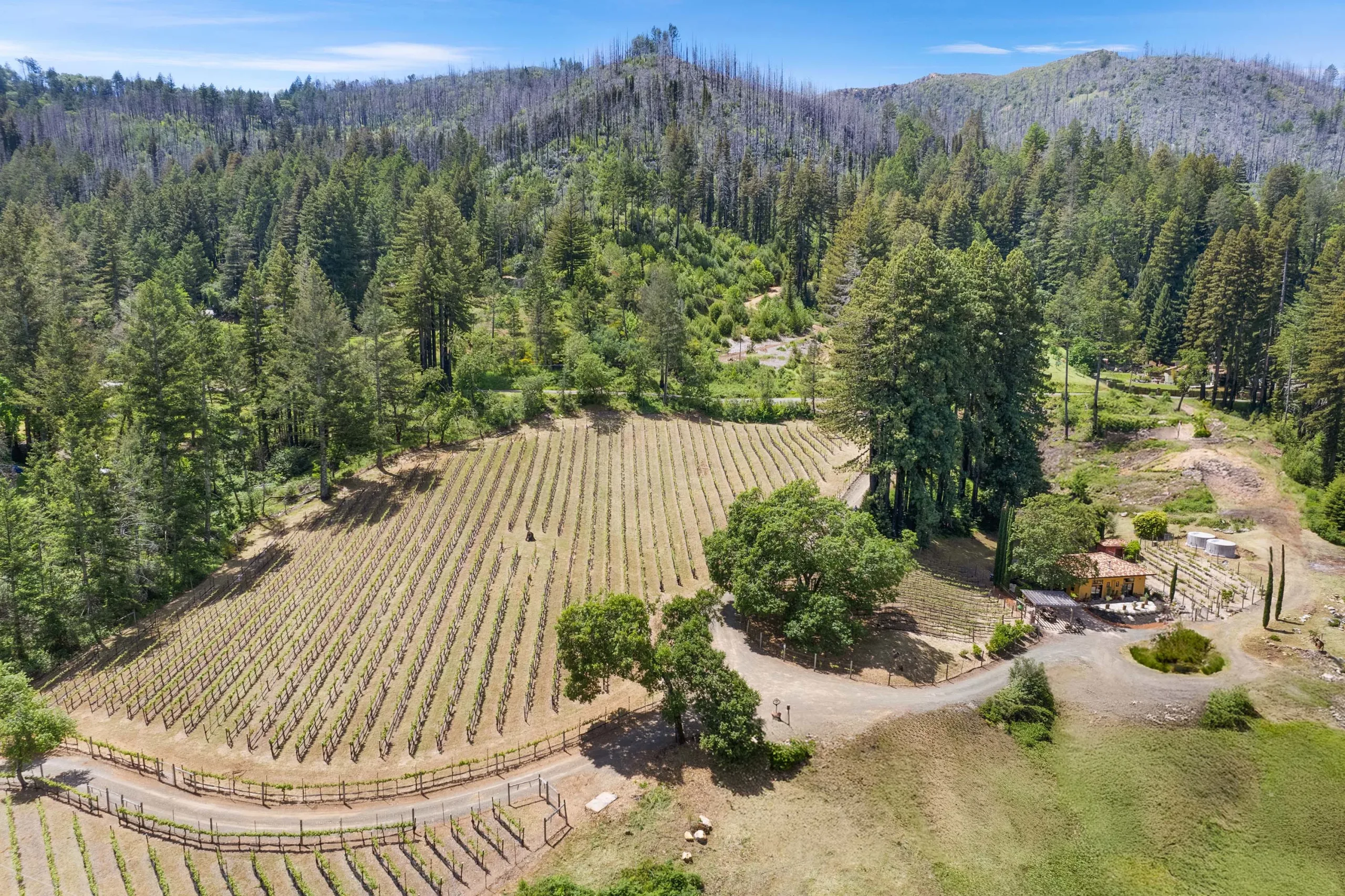 Mount Veeder, Napa Valley, CA, US