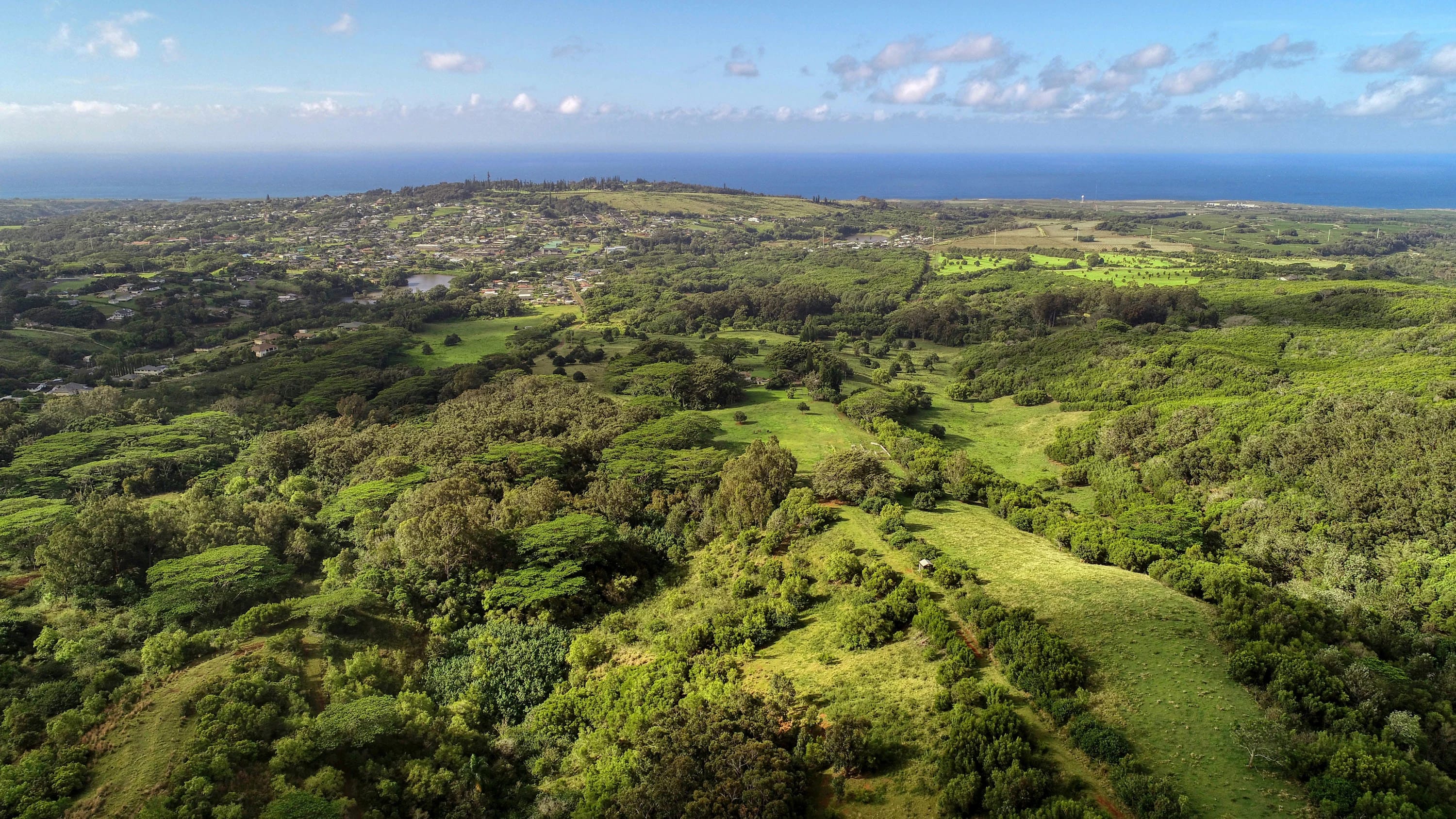 2-2131-Z Kaumualii Highway | Kalaheo, Hawaii | Luxury Real Estate