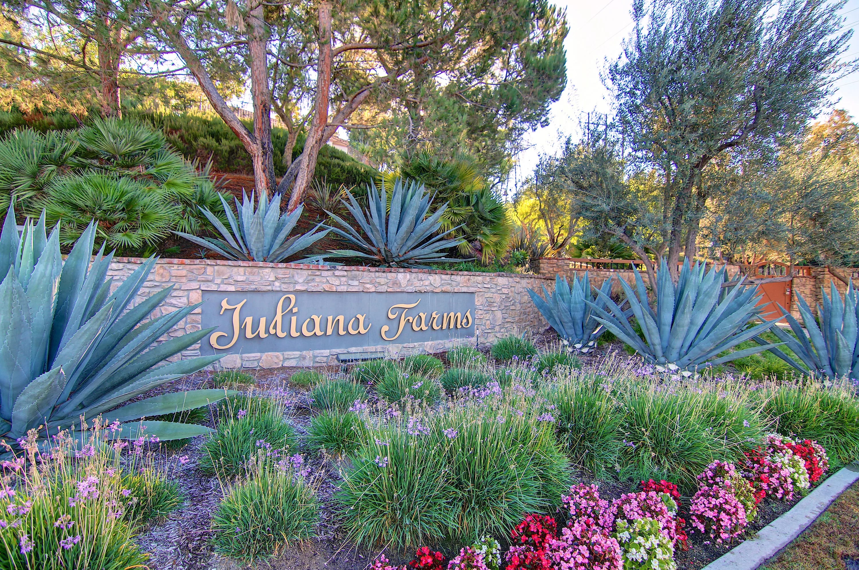 The Hills of Juliana Farms | 31495 Juliana Farms Road | Luxury Real Estate