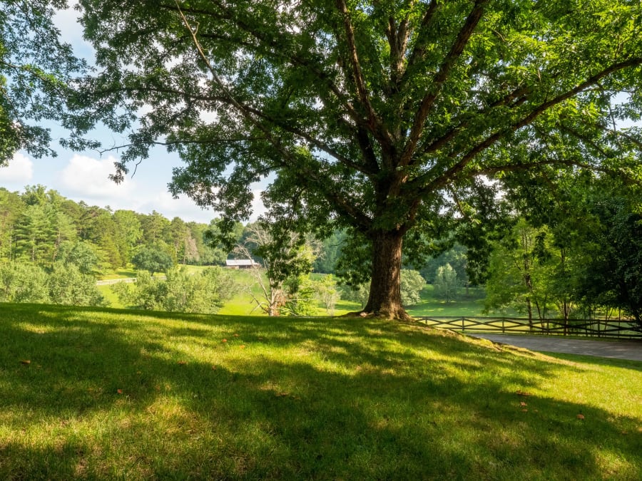 1011 Thunderwood Farm Lane | Lewisville, North Carolina | Luxury Real Estate 