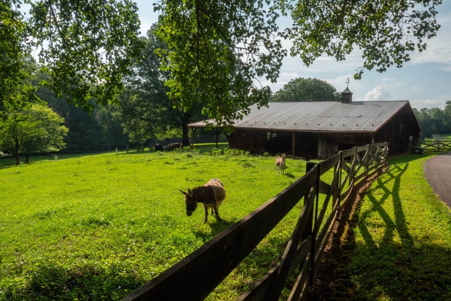 1011 Thunderwood Farm Lane | Lewisville, North Carolina | Luxury Real Estate 