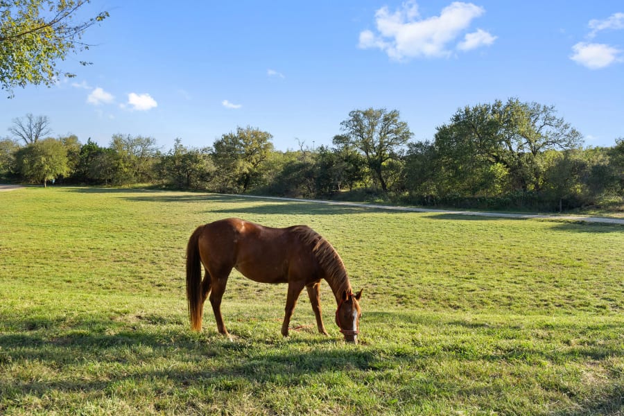 17051 State Highway 195 | Texas Hill Country | Luxury Real Estate