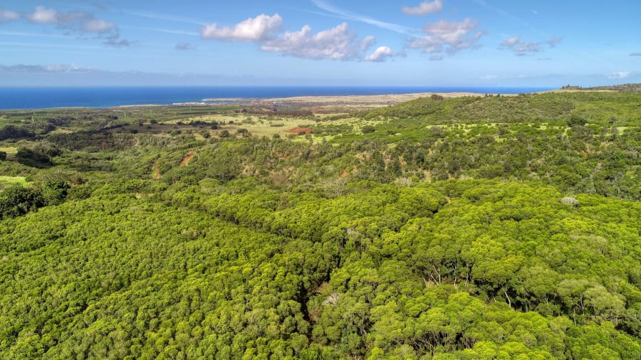 2-2131-Z Kaumualii Highway | Kalaheo, Hawaii | Luxury Real Estate