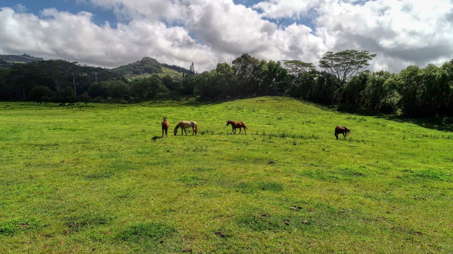 2-2131-Z Kaumualii Highway | Kalaheo, Hawaii | Luxury Real Estate