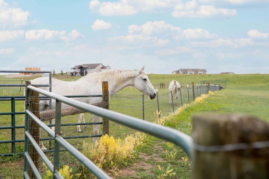 Tuscany Hill | Near Denver, CO | Luxury Real Estate