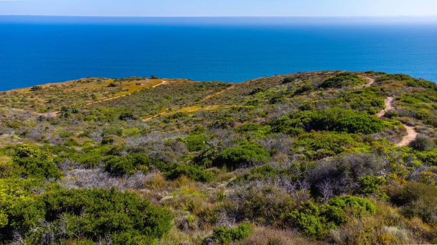 21298 Seaboard Road | Malibu, CA | Luxury Real Estate