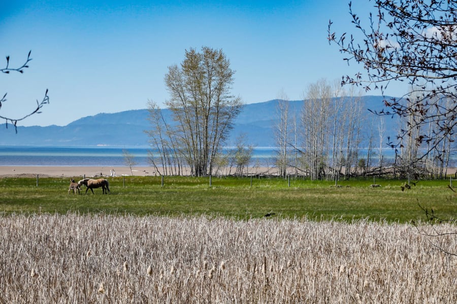 The Rookery | 240 Holt Drive | Flathead Lake, MT | Luxury Real Estate