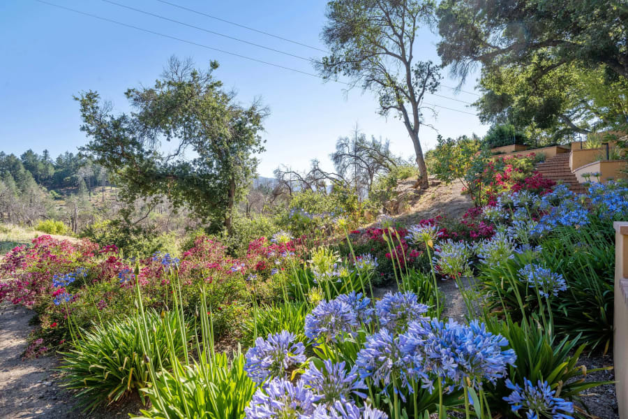 1103 Brittany Lane, Saint Helena, California, Luxury Real Estate