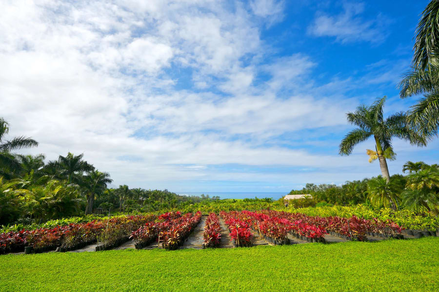 Secret Beach | North Shore, Kauai, HI | Luxury Real Estate