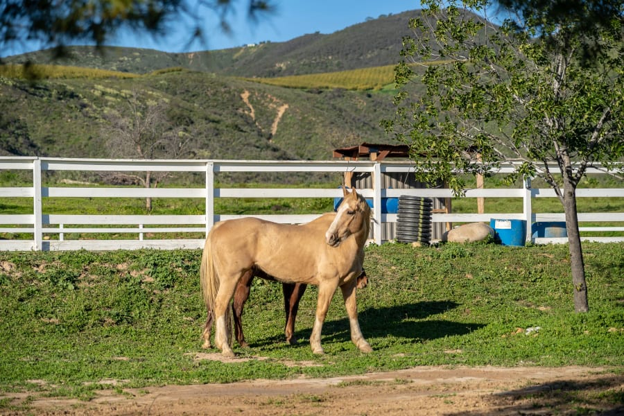 Rancho San Juan | Orange County, CA | Luxury Real Estate