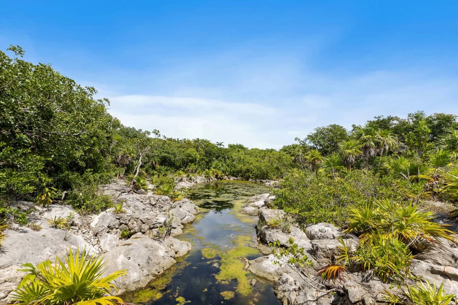 Akumal, Quintana Roo, Mexico