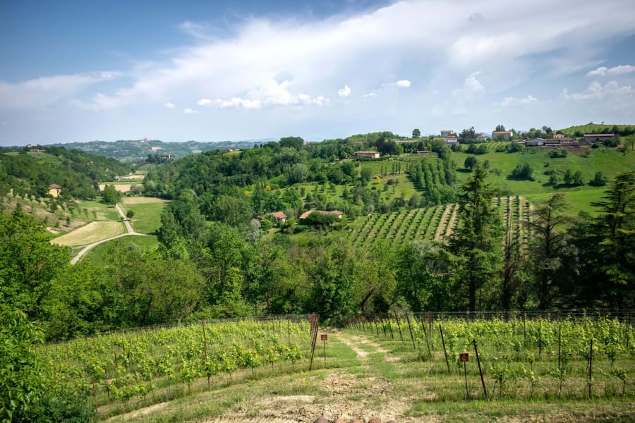 Azienda Agricola Montefiorito | Monferrato Region, Piedmont, Italy | Luxury Real Estate | Concierge Auctions