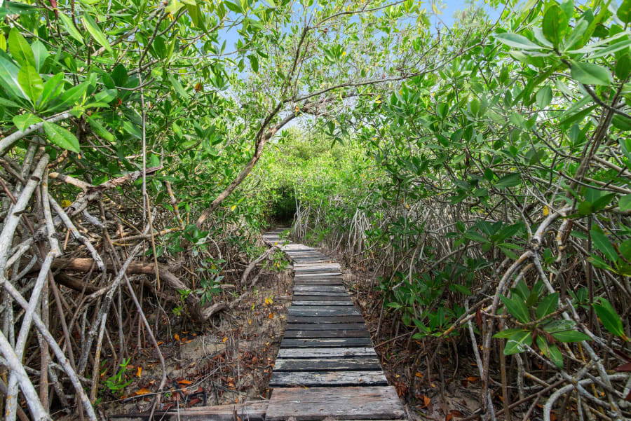 Casa Godi, 77766 Tulum, Sian Ka'an, Tulum, Quintana Roo, Mexico | Luxury Real Estate | Concierge Auctions