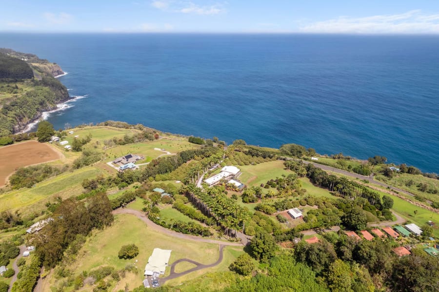 The Royal Palms Estate | 34-144 Kaihuiki Road, Hamakua Coast, Big Island, Hawaii | Luxury Real Estate | Concierge Auctions