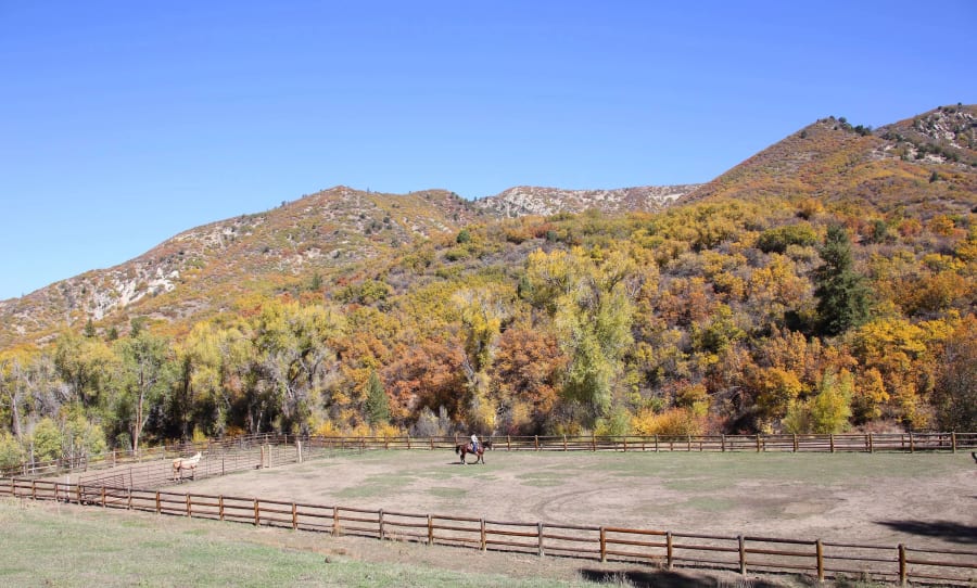 Saddle Ridge Ranch | Glenwood Springs, CO | Luxury Real Estate