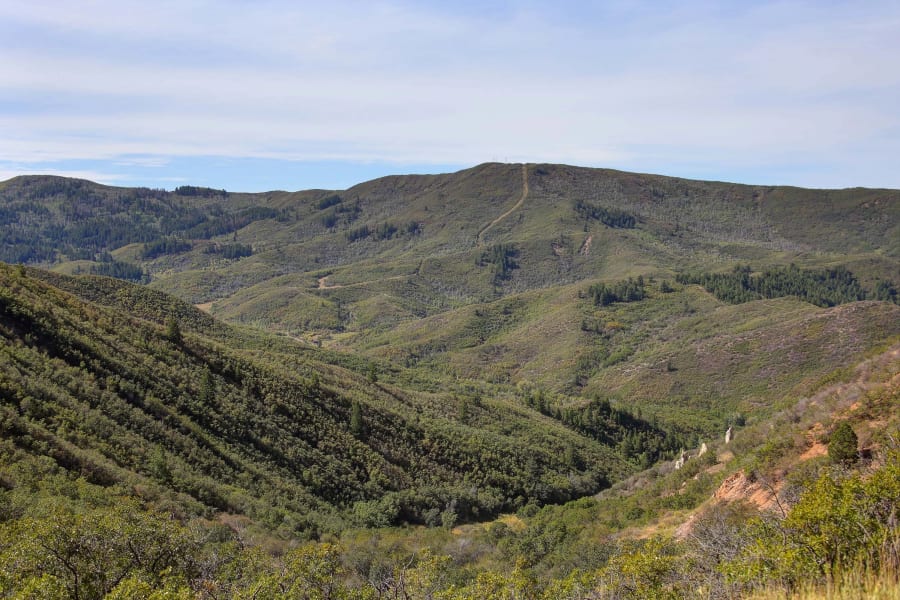 Saddle Ridge Ranch | Glenwood Springs, CO | Luxury Real Estate