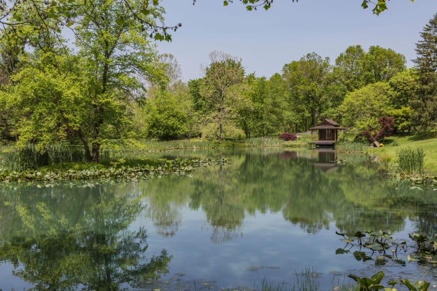 Sycamore Creek, New Jersey | Luxury Real Estate