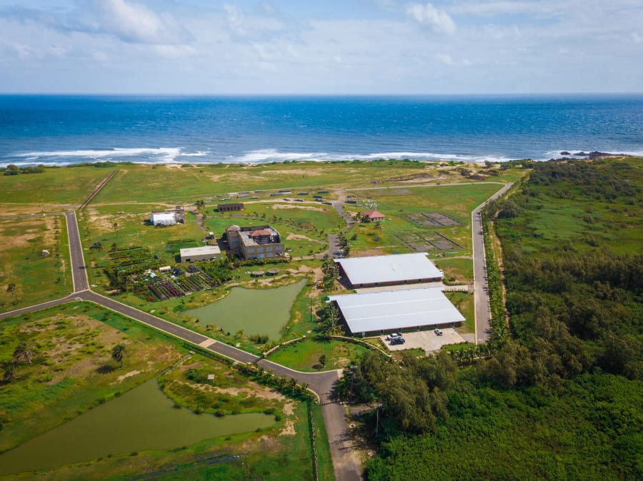 Marconi Station | North Shore, Oahu, HI | Luxury Real Estate