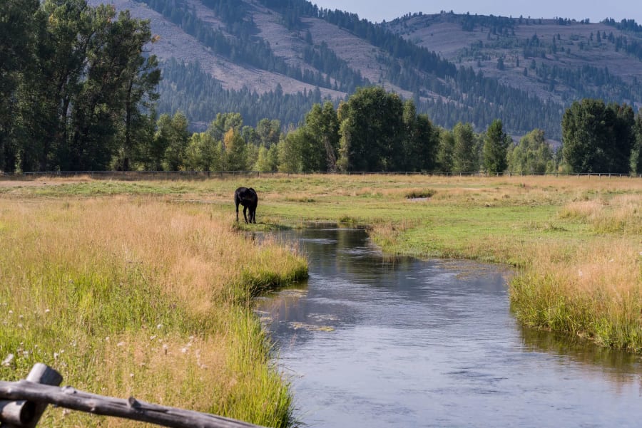 585 W Lodge Cottage Drive | Jackson, WY | Luxury Real Estate