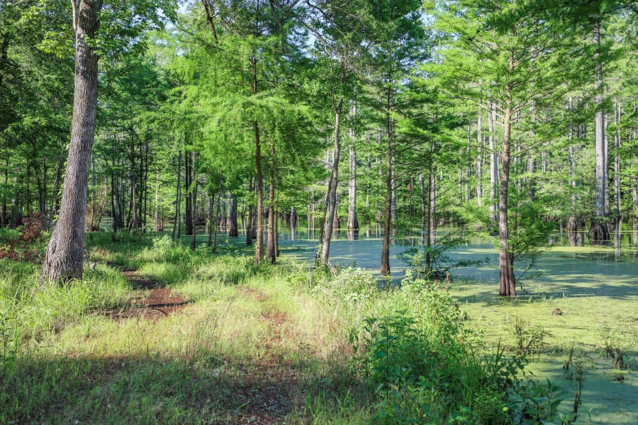 601 FM 134 | Jefferson, TX | Luxury Real Estate | Photography Courtesy of Clayton Pilgrim