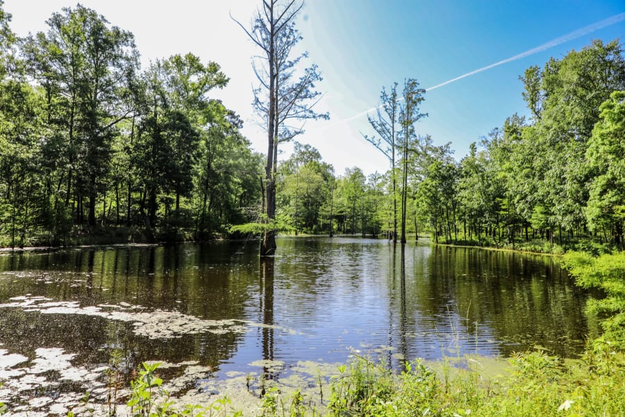 601 FM 134 | Jefferson, TX | Luxury Real Estate | Photography Courtesy of Clayton Pilgrim