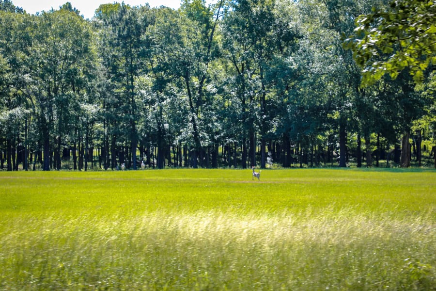 601 FM 134 | Jefferson, TX | Luxury Real Estate | Photography Courtesy of Clayton Pilgrim