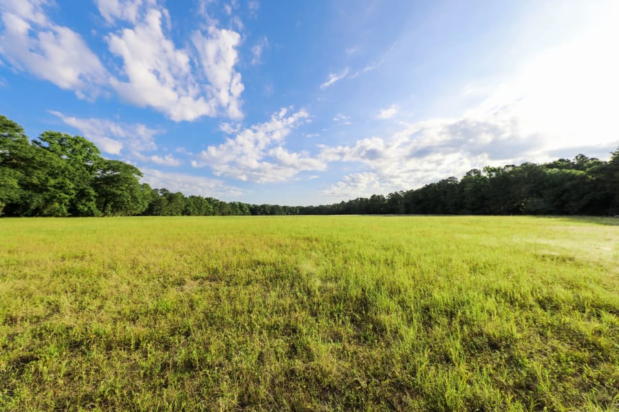 601 FM 134 | Jefferson, TX | Luxury Real Estate | Photography Courtesy of Clayton Pilgrim