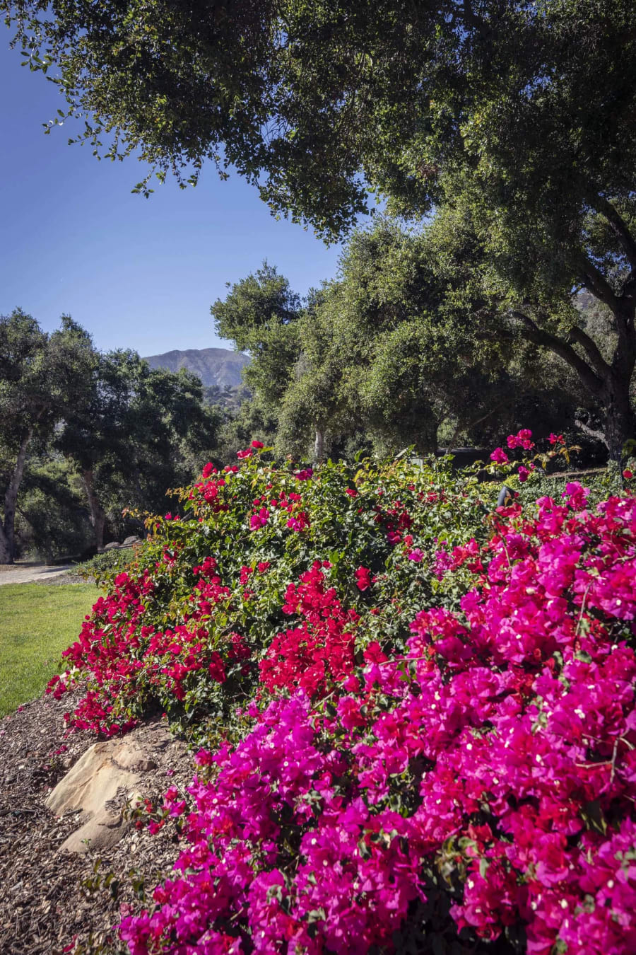 706 Park Lane | Santa Barbara, CA | Luxury Real Estate